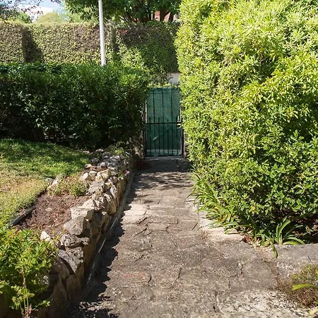 Villa Flemming *